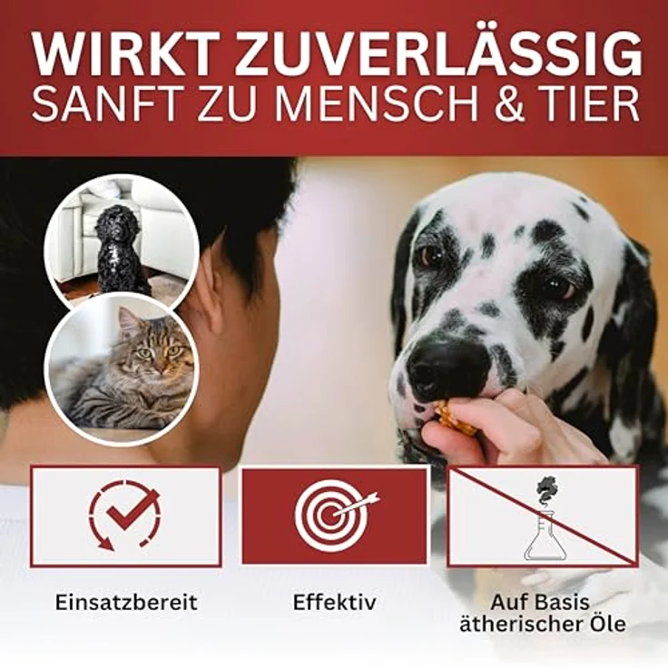 BIOFORMEL Mäuse Ex Spray Plus 5L, Mäuse- und Rattenabwehrmittel für Indoor & Outdoor, langanhaltend mit Geraniol, made in Germany – Bild 5