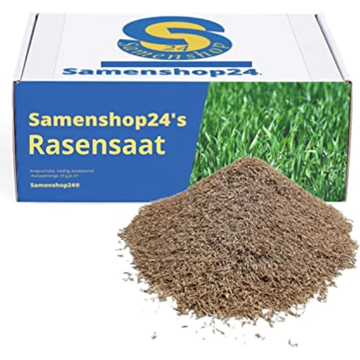 Samenshop24 RSM-Rasensamen 2.3 Gebrauchsrasen Spielrasen 1kg für 40qm – Bild 2