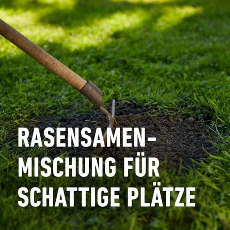 COMPO SAAT Schatten-Rasen, strapazierfähige Rasensamen-Mischung für schattige Lagen, 2 kg für 100 m² – Bild 4