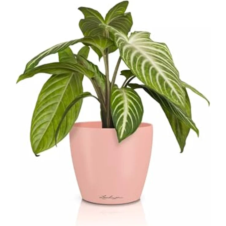 Lechuza® Übertopf Classico Color 14 DECO, Pflanzgefäß in magnolie, bruchsicher und kompakt – Bild 1