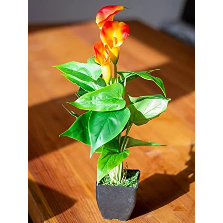 EUROPALMS Calla mini, Kunstpflanze, gelb orange, 43cm | Zimmerpflanze im Blumentopf – Bild 5