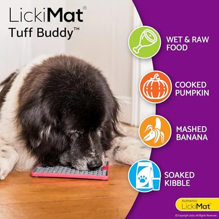LickiMat Buddy Tuff Antischlingnapf für nasse und trockene Hundenahrung, spülmaschinenfest, 20 x 20 cm, türkis – Bild 5
