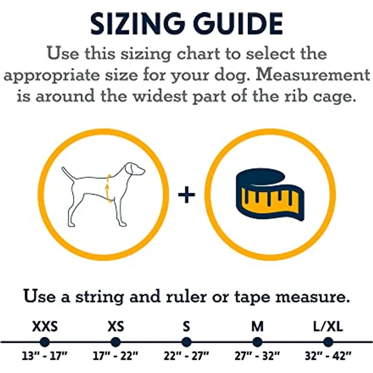 RUFFWEAR Mehrzweck-Hundegeschirr mit Griff, Web Master, verstellbares, Geschirr, 2 Leinenbefestigungen, für den täglichen Gebrauch, Blaze Orange, XXS – Bild 2