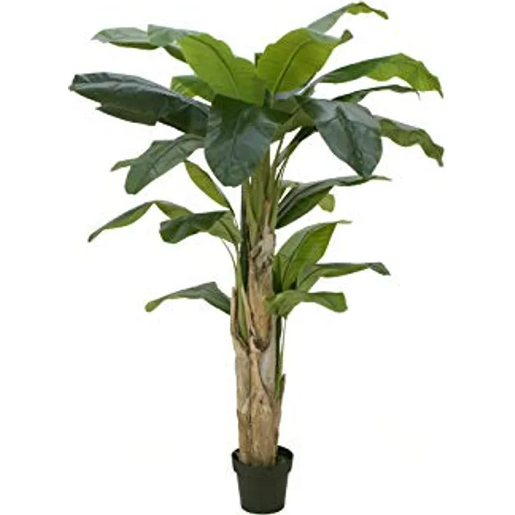 EUROPALMS Bananenbaum Kunstpflanze, 170 cm, drei Stämme aus Naturmaterial mit EVA Blättern