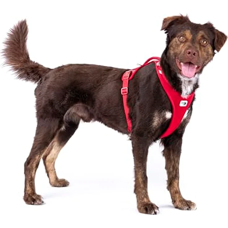 Curli Belka Harness Air-Mesh Black 4XL, Hundegeschirr mit Tailored Ergo Fit Schnittmuster und EASY GRIP BUCKLE – Bild 3