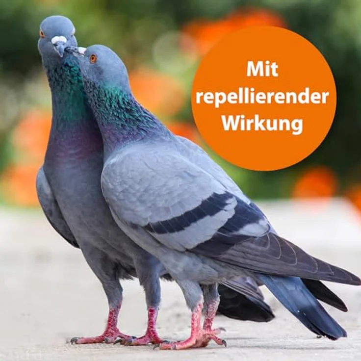 Ardap Insektenspray ARDAP Spot-On, Zecken- und Milbenschutz für Vögel, 2x 4,0 ml mit Pyrethrum – Bild 4