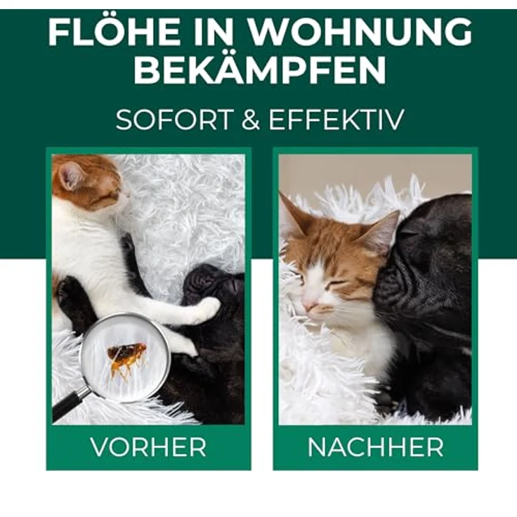 Silberkraft Flohspray für Umgebung, Insektenspray gegen Flöhe, Zecken & Milben, 2000 ml, Langzeitschutz, Made in Germany – Bild 2