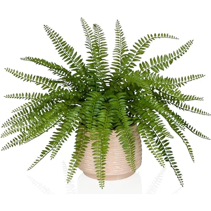 Hjh Office Kunstpflanzen Proliferum, 40 cm hohe Kunstpflanze mit realistischer Optik – Bild 1