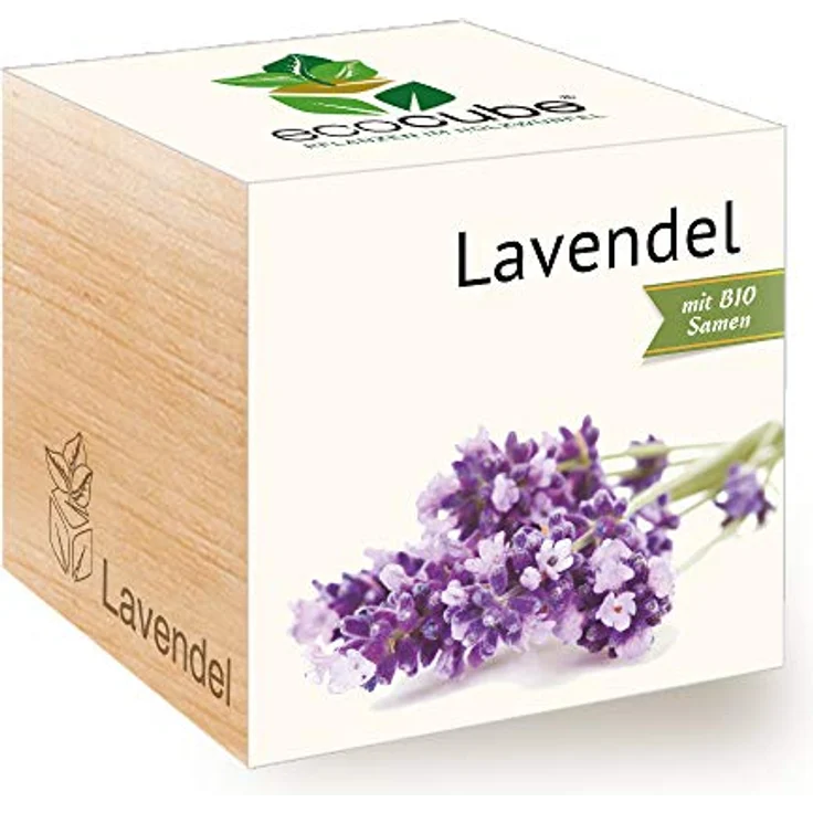 Feel Green Ecocube Lavendel, Bio Samen Anzuchtset im Holzwürfel, 100% Eco Friendly, Made in Austria – Bild 1