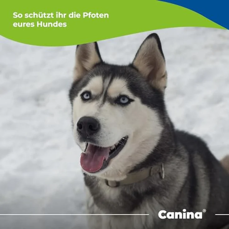 Canina Pfotenbalsam, 100 ml - Wasserfreies Balsam mit Sheabutter, Bienenwachs und Aprikosenöl – Bild 5