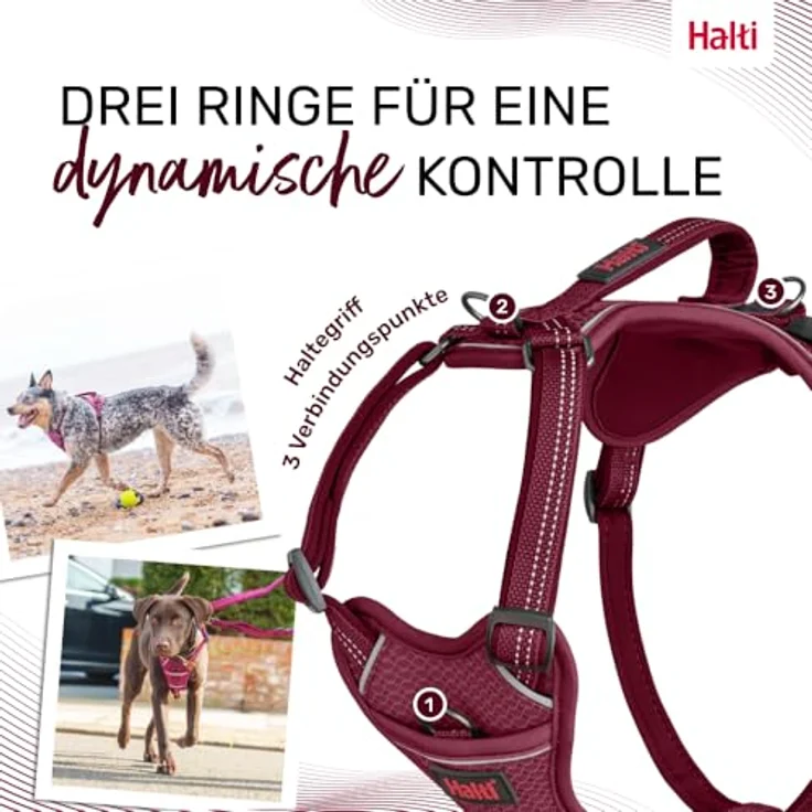 Company of Animals HALTI Anatomy Hundegeschirr mit Griff, 3 Verbindungspunkte, verstellbar, Neoprenpolsterung, reflektierend, Größe XS, Magenta – Bild 5