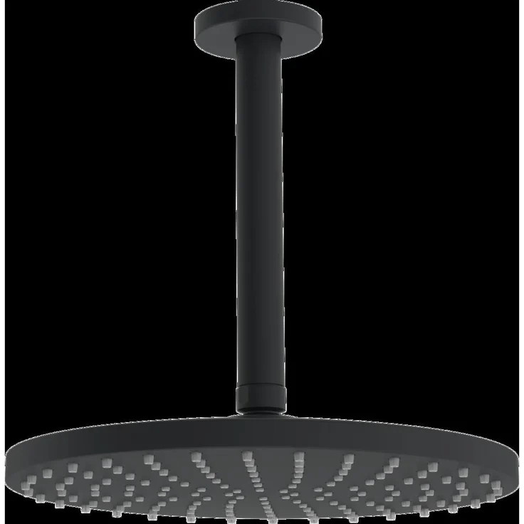 Hansa VIVA Kopfbrause, runde Duschbrause mit 250 mm Durchmesser, 1-Strahl, Deckenmontage, Antikalk-Technologie, 12 l/min, moderne Matte Oberfläche