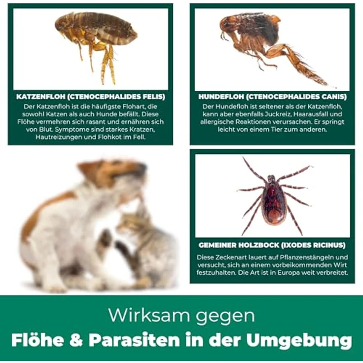 Silberkraft Insektenspray Flohspray Textil & Umgebung 500 ml, gezielte Flohbekämpfung für Textilien & Umgebung, inkl. E-Book mit Tipps zur Vorbeugung – Bild 4