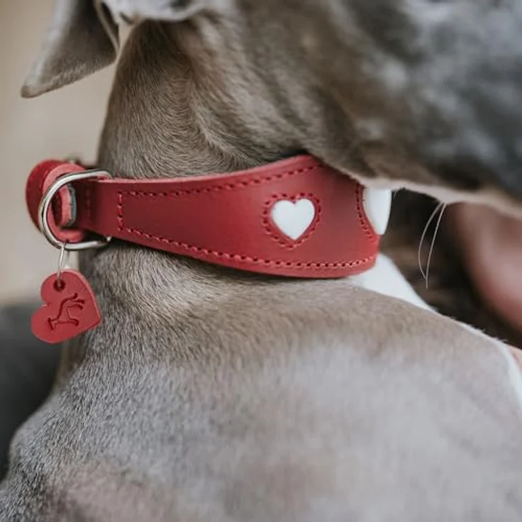Hunter Windhund Love Halsband 32/XS, Rot/Schwarz, Rindnappaleder mit Polsterung und Herz-Zierelementen, Halsband + Leine – Bild 8