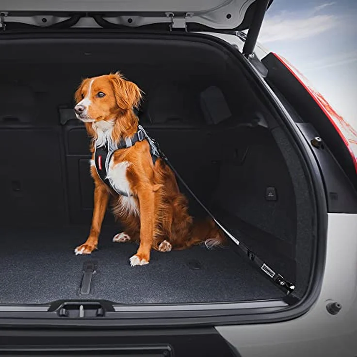 Click ISOFIX Hundegurt - Hunde Sicherheitsgurt (43-65cm) – Bild 4