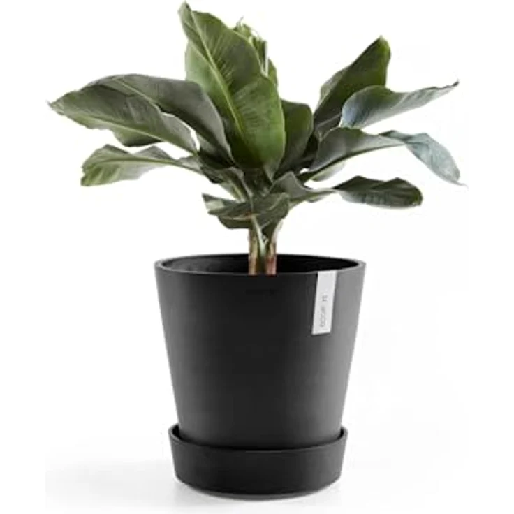 Ecopots Amsterdam Blumentopf-Untersetzer mit Rollen, Ø 51 cm, dunkelgrau, mit integriertem Kupferring zur Mückenprävention – Bild 4