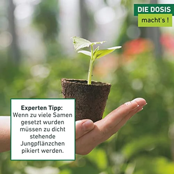 Windhager Samen-Dosierstift – Bild 9