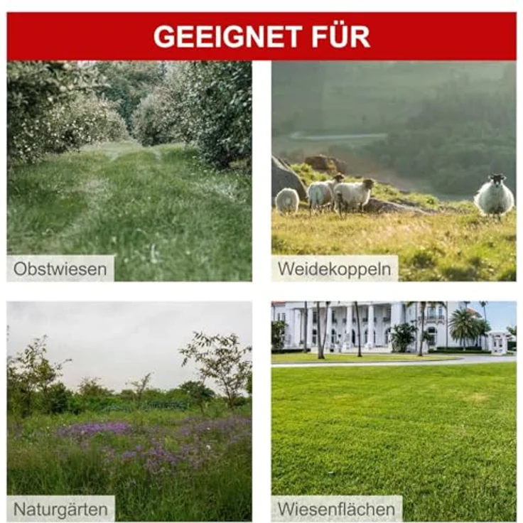 Scheppach Wiesenmäher HMP161-56, Benzin-Rasenmäher mit 4,1 PS, 56 cm Schnittbreite, 40-95 mm Schnitthöhe, 800 m²/h Flächenleistung, inkl. Ersatzfäden – Bild 4