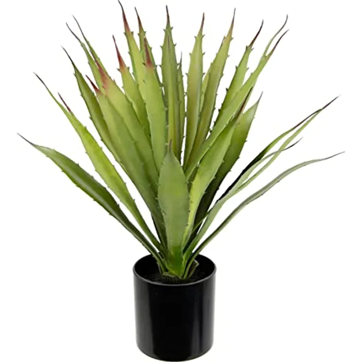 Künstliche Agave Aloe Vera im Topf Kunstpflanze Sansevieria exotische Pflanzen Grünpflanze Kunstblume Topfpflanze Zimmerpflanze Deko Terrasse Balkon Sukkulente Yucca Kalanchoe Kaktus Kakteen