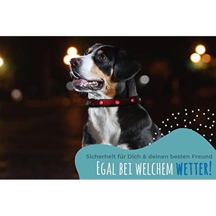 Leuchthalsband für Hunde [Das Original] Leuchtendes LED Hundehalsband zum spazieren gehen auch im Dunkeln- sehr Lange Akkulaufzeit – Sicher Dank starker Leuchtkraft – Hundehalsband Leuchtend – Bild 5