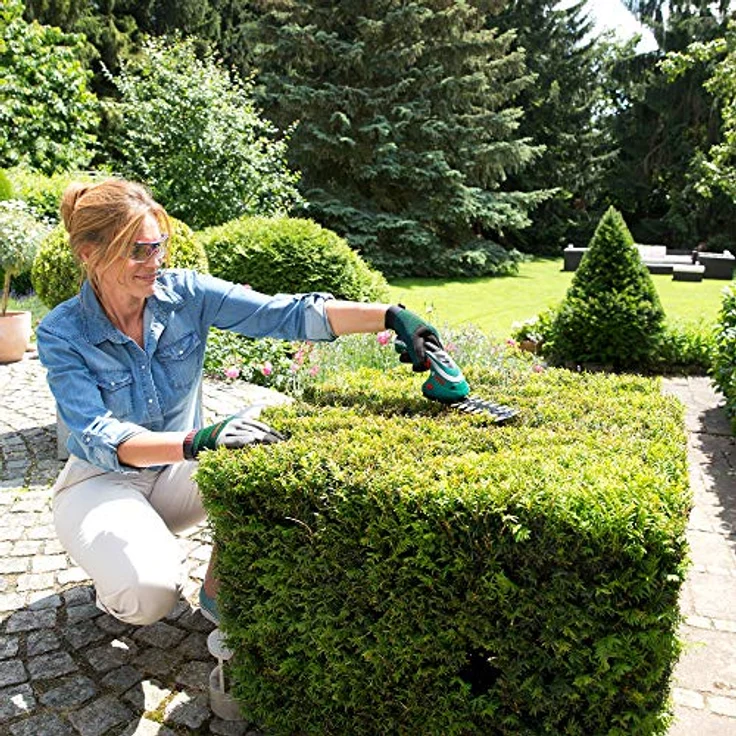 Bosch Isio Strauchscheren-Aufsatz 2014 – Bild 2