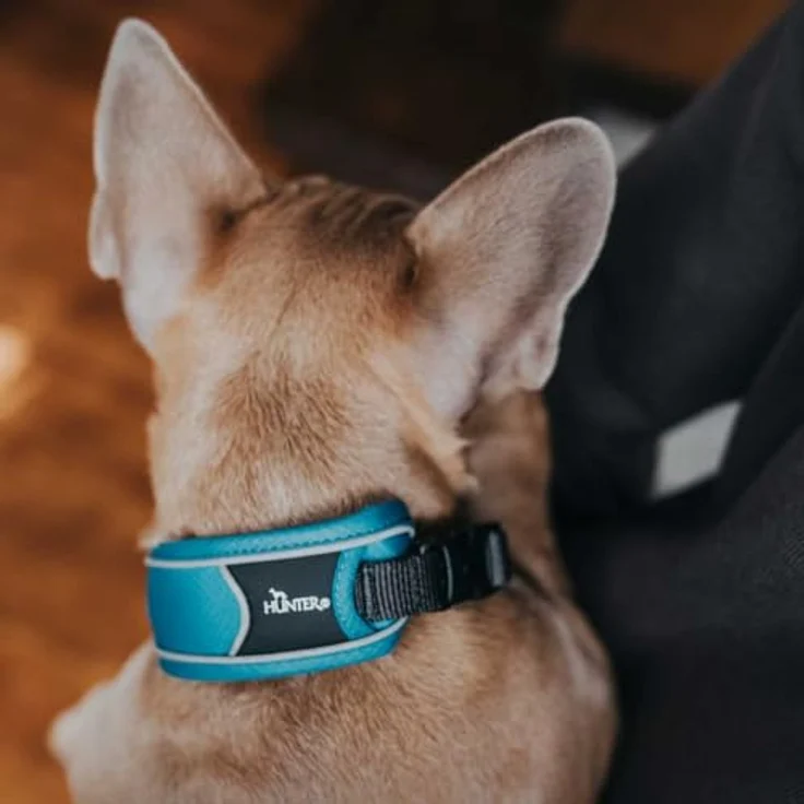Hunter Hunde-Halsung Divo hellblau-grau S – Bild 5