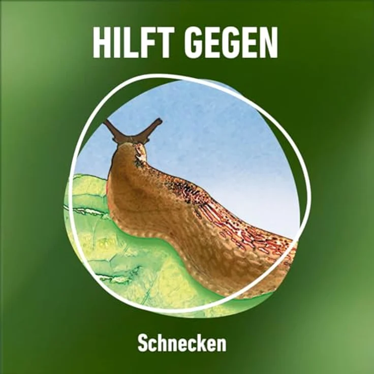 COMPO® Schneckenkorn, 1,1 kg – Bild 10