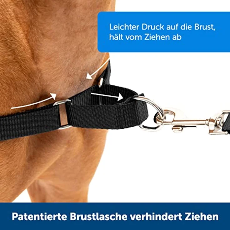 PetSafe Easy Walk-Geschirr, Anti-Zieh-Hundegeschirr, Verringert Würgen und Husten, Mit 1,8 M Leine, Größe M, Schwarz – Bild 2