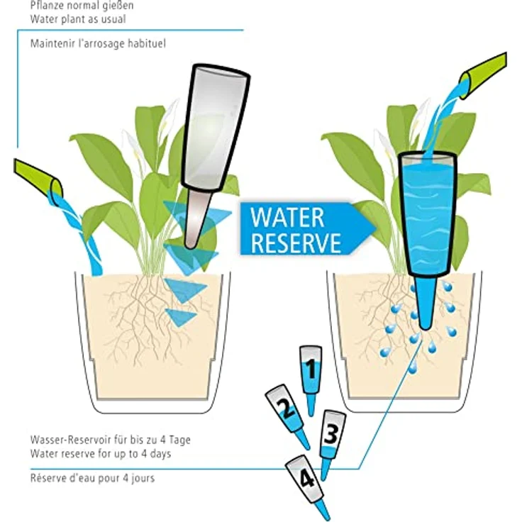 Copa M Bewässerung Wasserspender Bewässerungskugel transparent (4, Transparent) - Scheurich - Preisvergleich – Bild 6