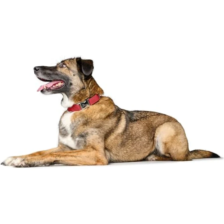 HUNTER Halsung Sofia ALU-Strong, Rot, Kunstleder in Nappa-Optik, stufenlos verstellbar, robuster Alu-Klickverschluss, Größe M, Made in Germany – Bild 2