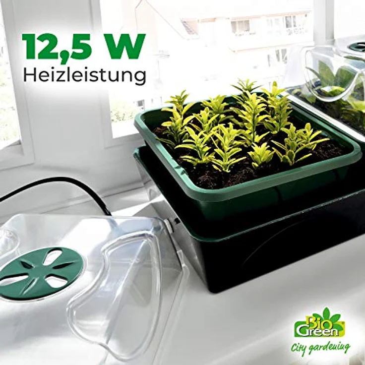 Bio Green Hollandia Anzucht-Set – Bild 4
