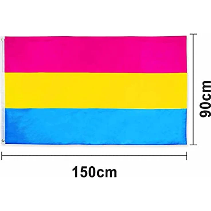 MOGADEE Pansexual Pride Flag, 90 x 150 cm wetterfeste Flagge mit Messingösen, doppelt gefaltet, für Innen- und Außenbereich, LGBT-Aktivitäten – Bild 2