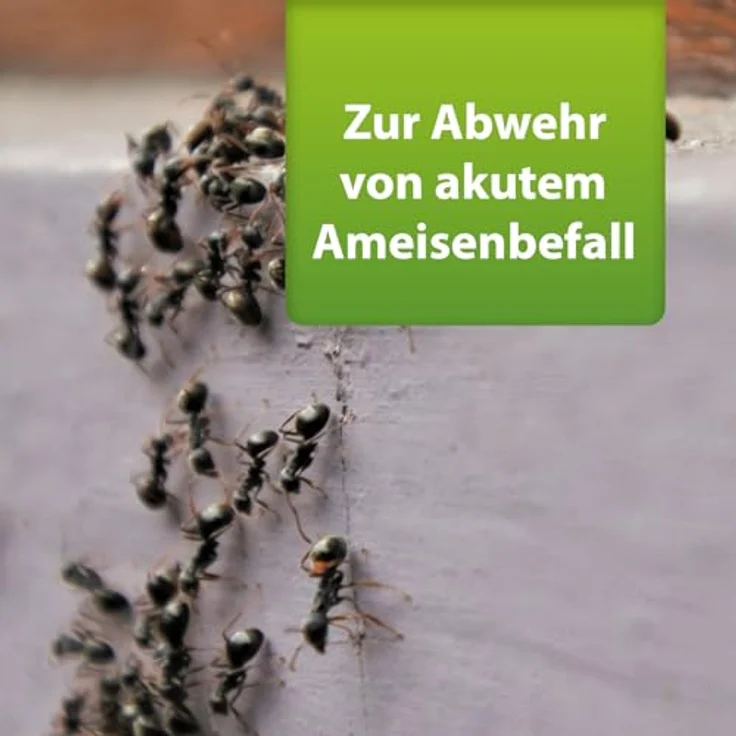 ARDAP Repell Ameisenmittel 500g - Ameisenpulver - Effektives Mittel gegen Ameisen - Draußen anwendbar - Wirkt schnell bei akutem Befall (PT19) - ARDAP – Bild 3