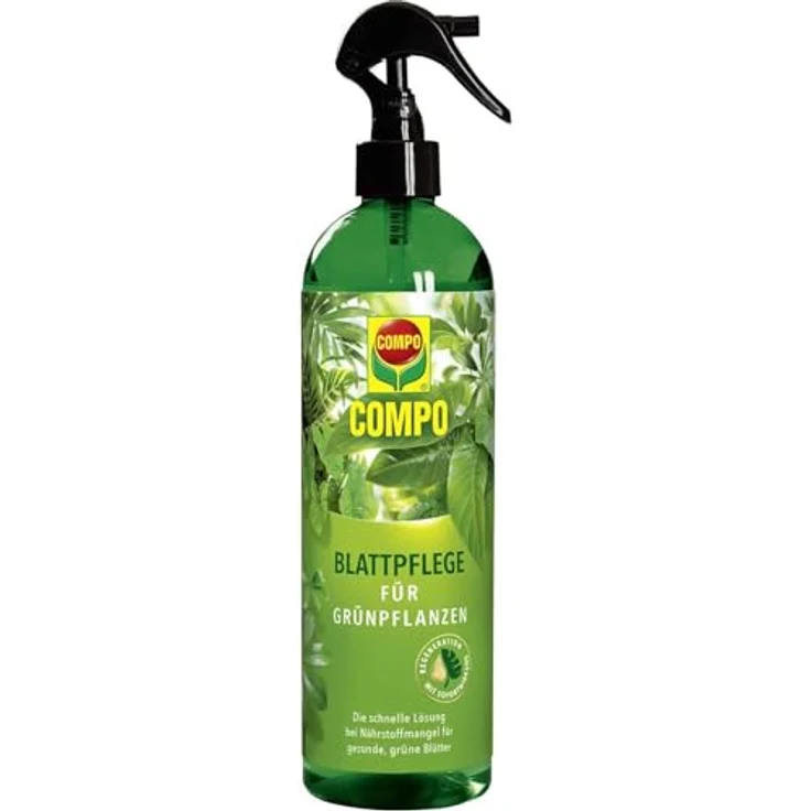 Compo Blattpflege für Grünpflanzen Spray, 500 ml – Bild 2