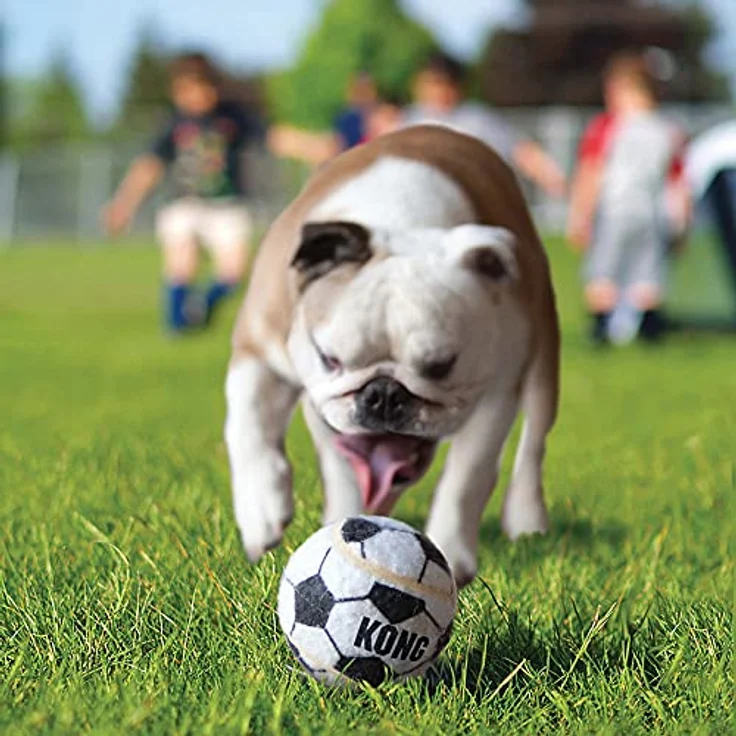 KONG - 3 Sportbälle - 1 Stück – Bild 4