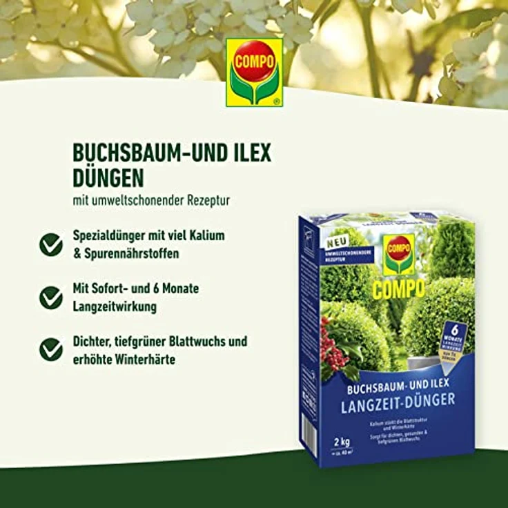 Compo Buchsbaum- und Ilex Langzeit-Dünger neu, 2 kg – Bild 2