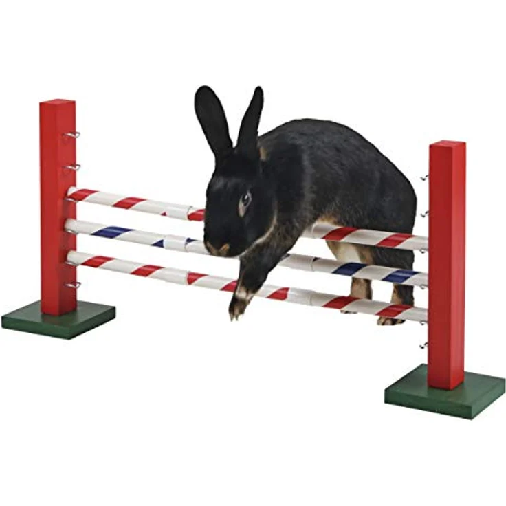 Kerbl 82859 Agility Steilsprung für Nager, 70 x 5 x 35 cm, 1 Stück (1er Pack) – Bild 2