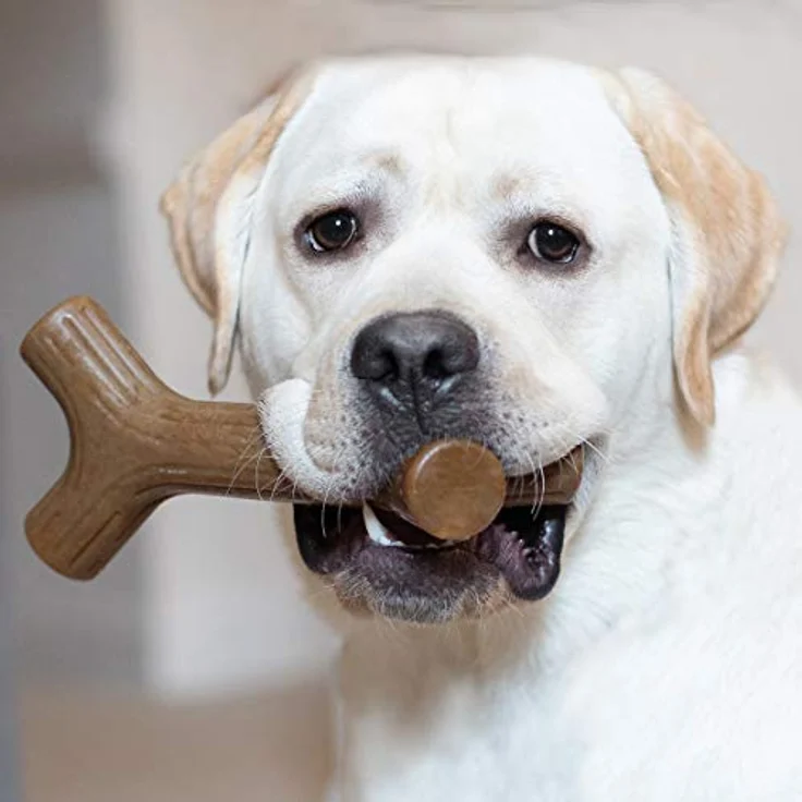 Benebone Maplestick XL, 15cm - (854111004934), Hundespielzeug – Bild 2