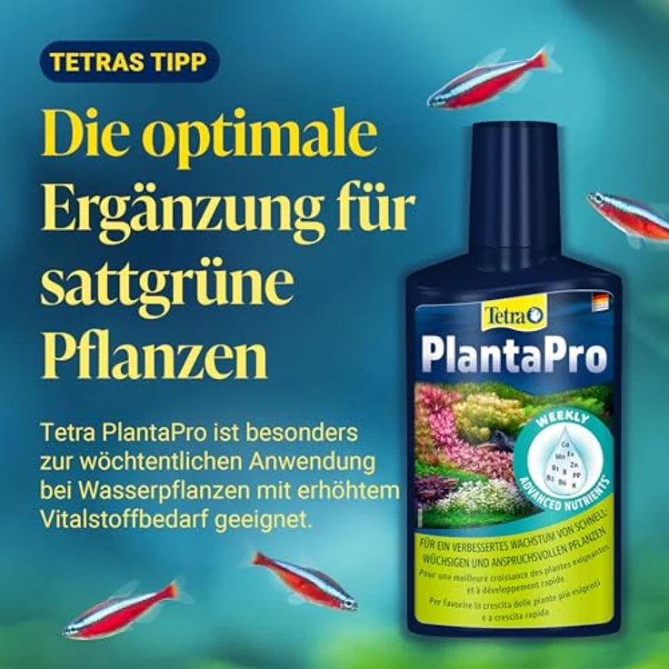 TetraPlant PlantaMin 500 ml – Bild 9