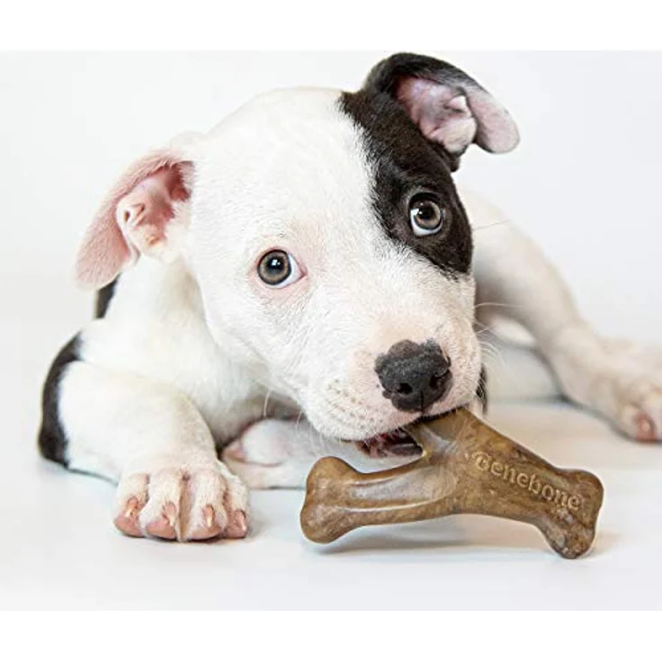 Benebone Hundekauspielzeug für Welpen, im Doppelpack weicher für sanftere Kauer, echter Speck, made in the USA – Bild 2
