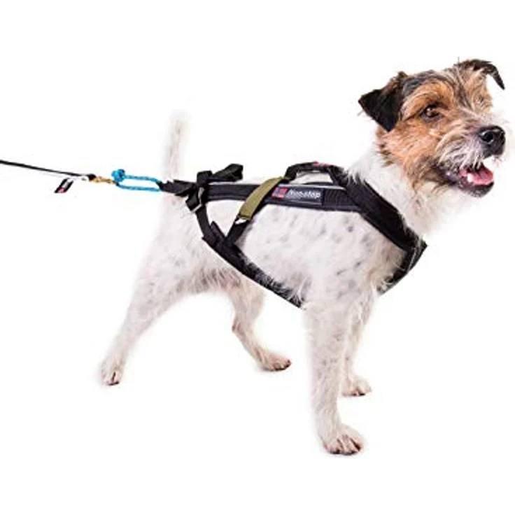 Non-Stop Dogwear Dog Copenhagen Canicross-Geschirr Free Motion T8, für maximale Komfort und Zugkraft im Canicross, schwarz – Bild 4