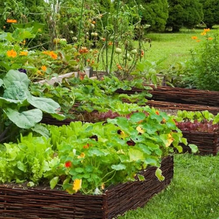 urfence Beetumrandung Weide, 100 x 20 cm, wetterfester Holzzaun aus geflochtenen Weidenruten, ideal zur Beet- und Rasenkante – Bild 2