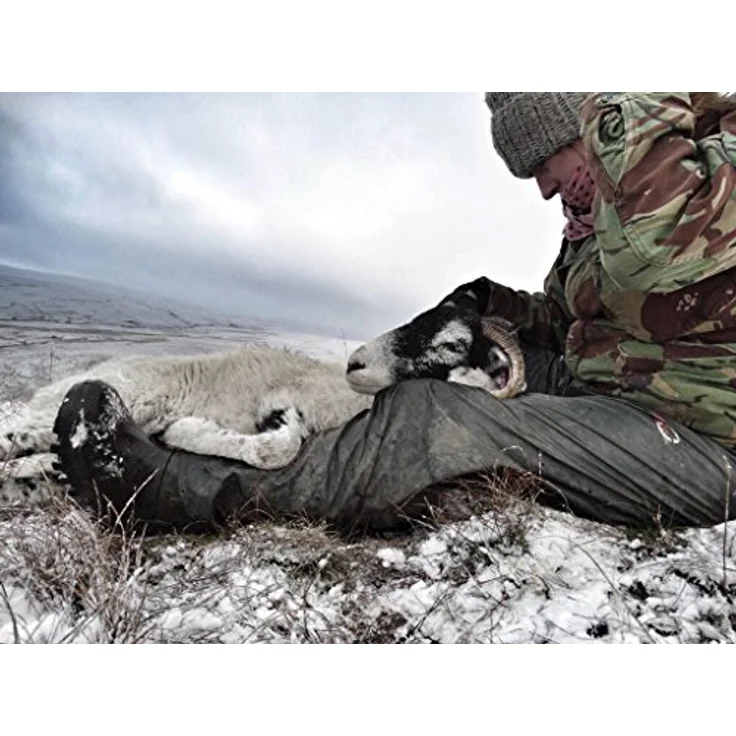 Dunlop Purofort Thermo+ S5 Sicherheitsschuhe, Stahlkappe, -50 °C Wärmedämmung, Größe 45 – Bild 8