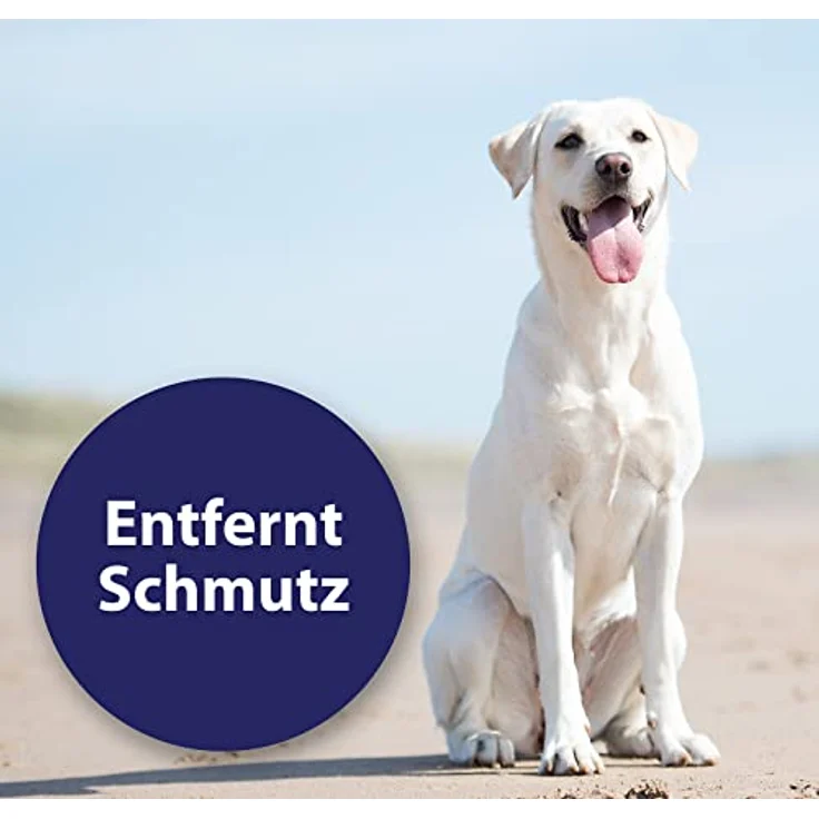 Canosept Ohrreiniger für Hunde 125ml - Lösung zur Ohrenpflege & Hunde Ohrenreinger - Saubere Ohren mit Effizienten Ohrentropfen – Bild 2