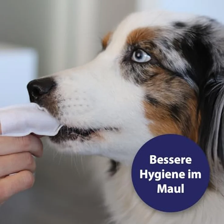 Canosept Zahnpflege Finger-Pads für Hunde, 50 Stück, effektive Mundhygiene und Plaque-Reduktion – Bild 2