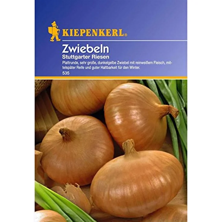 Kiepenkerl Zwiebeln Stuttgarter Riesen – Bild 2