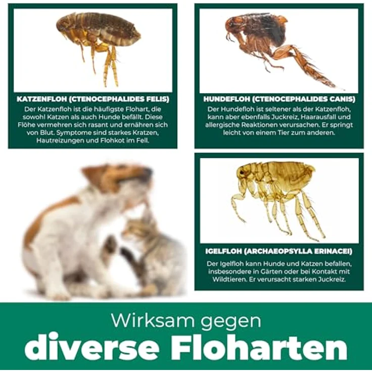 Silberkraft Flohspray für Hunde und Katzen, Anti-Floh-Spray mit Geraniol, 500 ml, Made in Germany – Bild 4