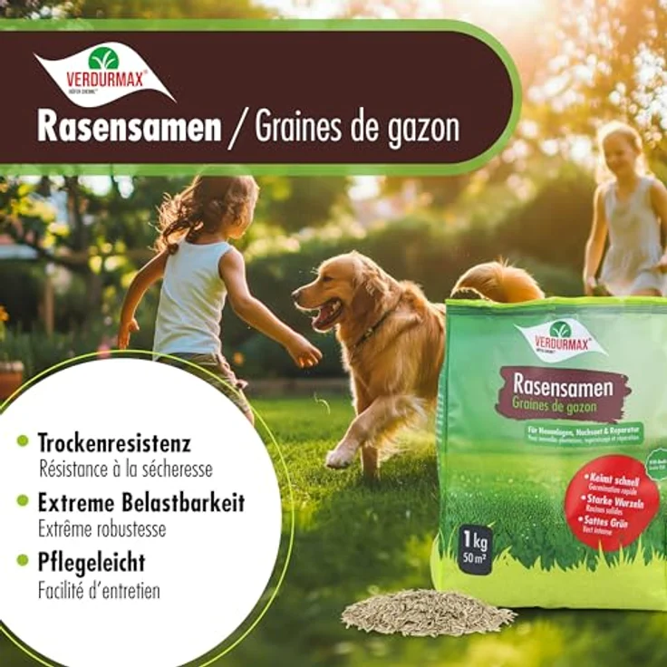 Höfer Chemie 1 kg Rasensamen, RSM-Premium-Mischung mit Lolium perenne PYRUS, BOKSER & ESQUIRE, trockenresistent & schnellkeimend – Bild 4