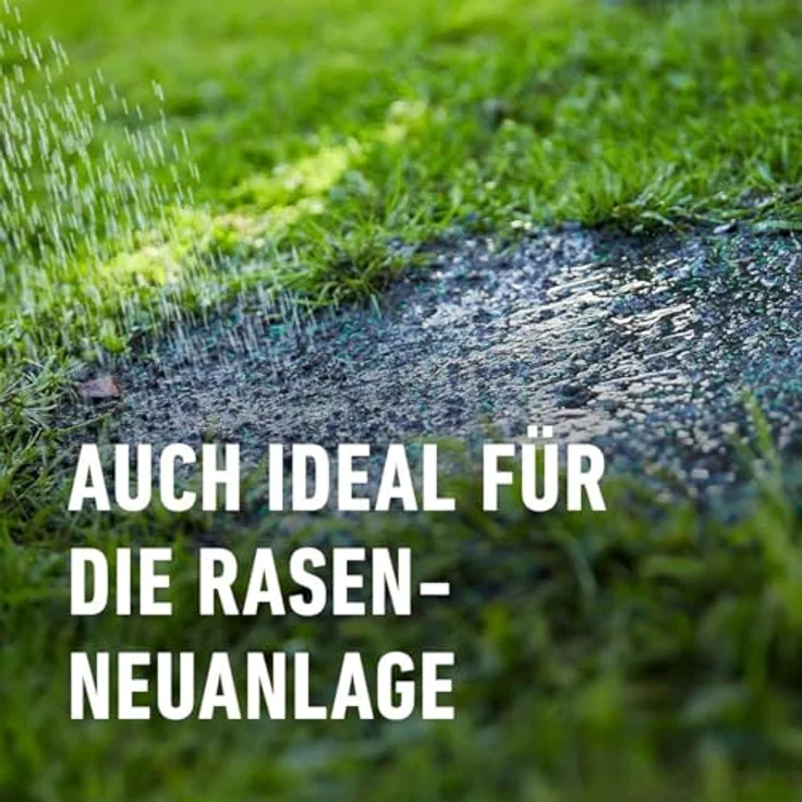 COMPO SAAT Trocken-Rasen, Hitze- und trockenverträgliche Rasensamen für sonnige Standorte, 2 kg für 80 m² – Bild 4