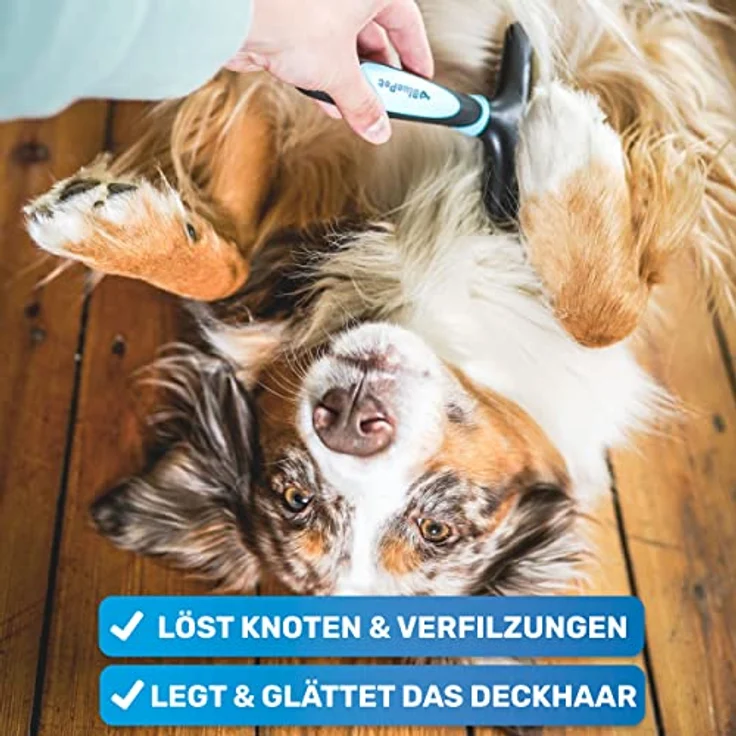 BluePet GlanzTanz Fellentwirrer Entfilzer für Langhaar Hunde und Katzen - Hochwertiger Hundestriegel mit zwei Reihen Pins - Löst Knoten & Verfilzungen - Glättet & Entwirrt das Deckhaar (Blau) – Bild 2